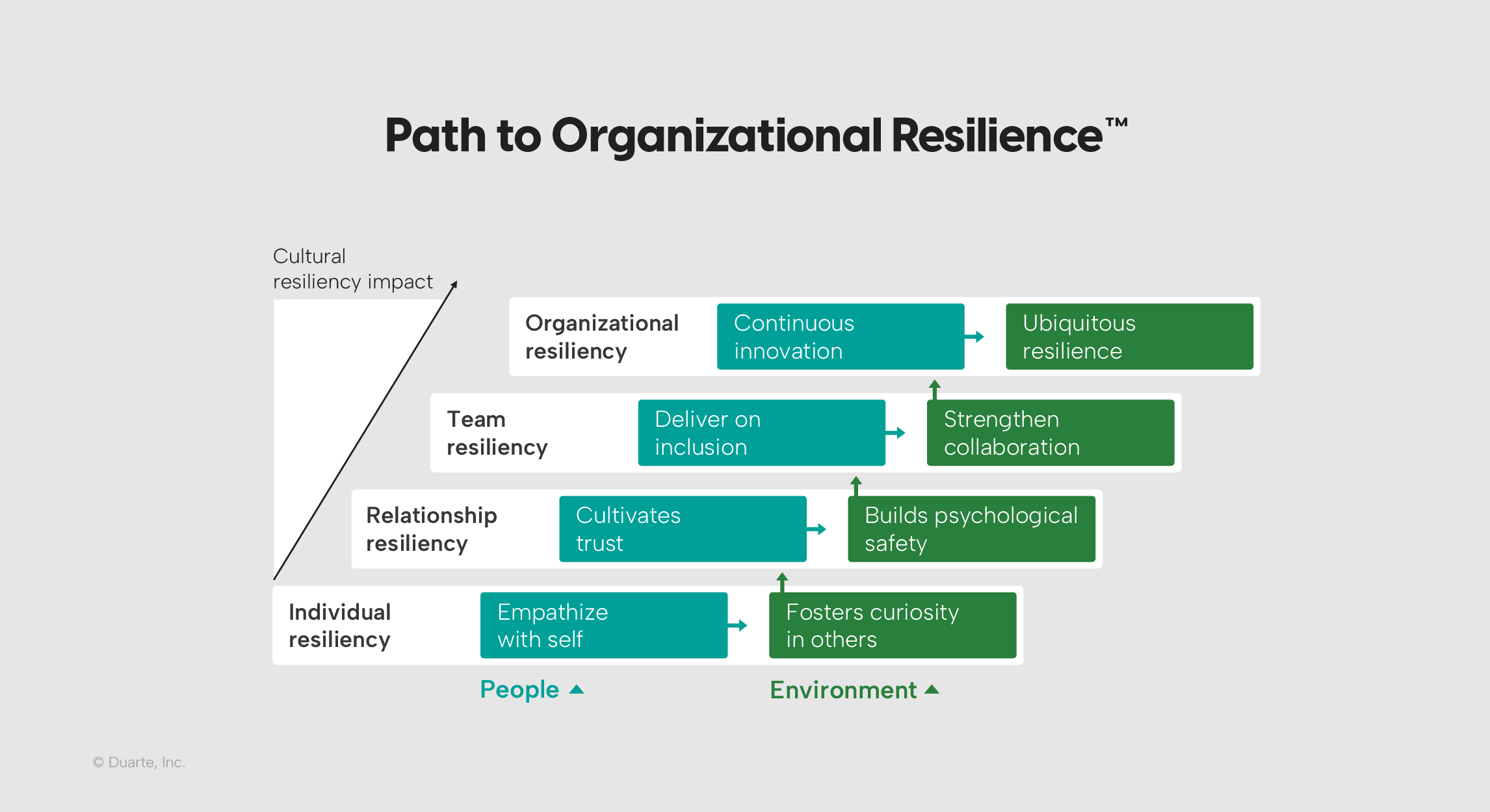 Path-to-organization-resilience-model-graphic